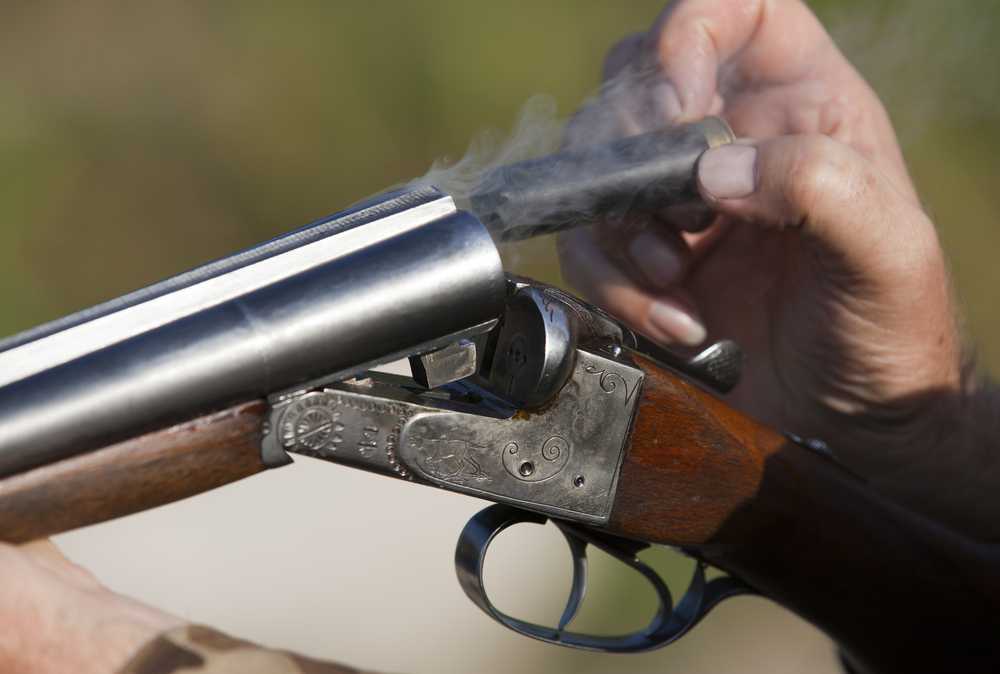 DUP opposition to firearms fee hike shows growing concern over proposals