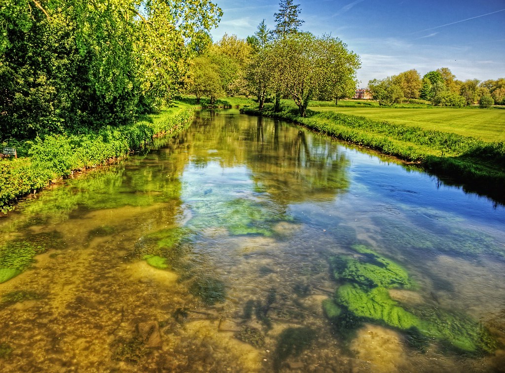 Chalk streams in the spotlight