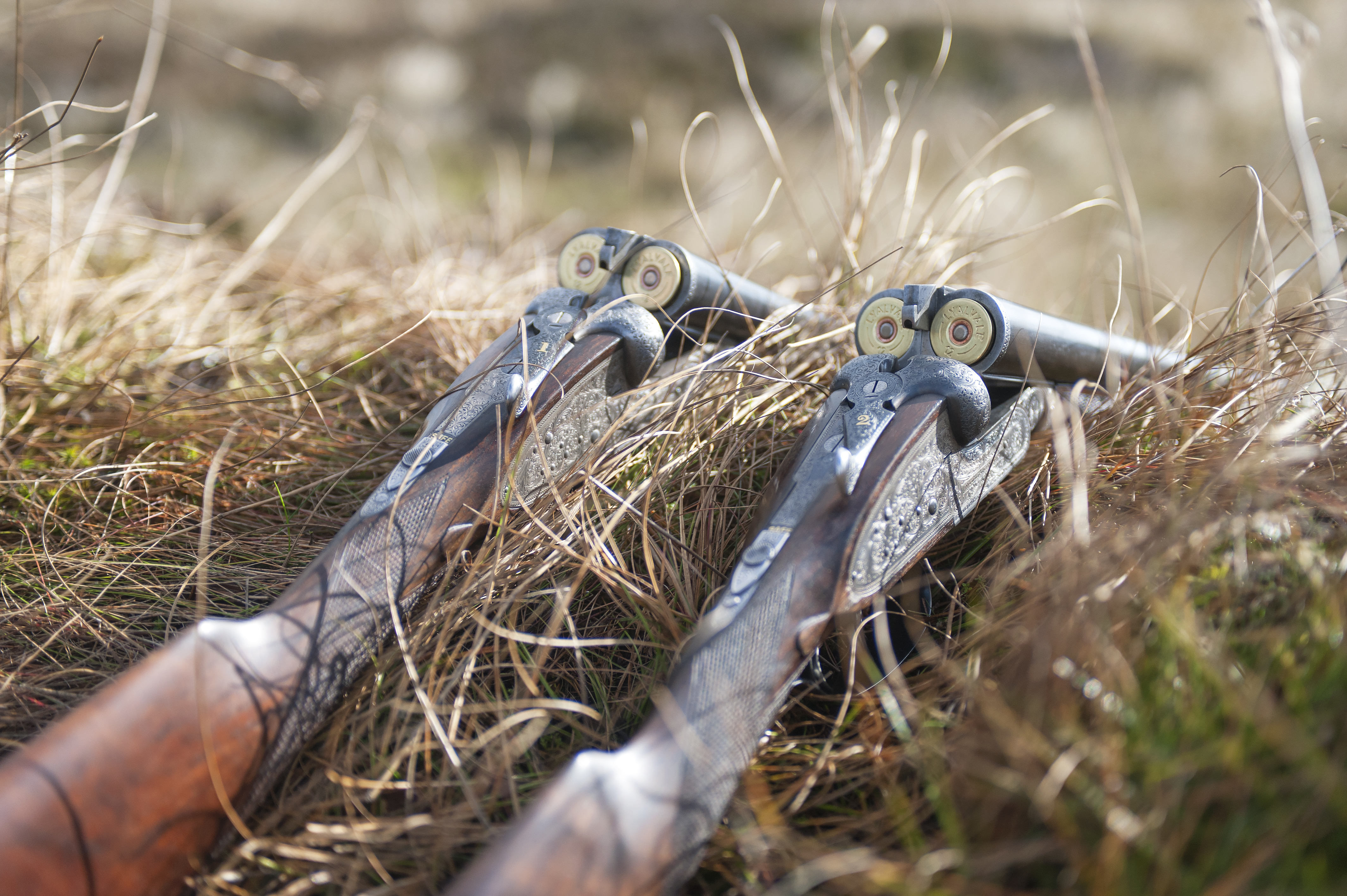 Are your shotguns now defunct?