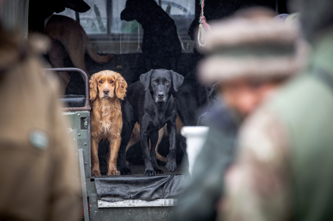 Tim Bonner: Warm beer, black Labradors and the politics of prejudice