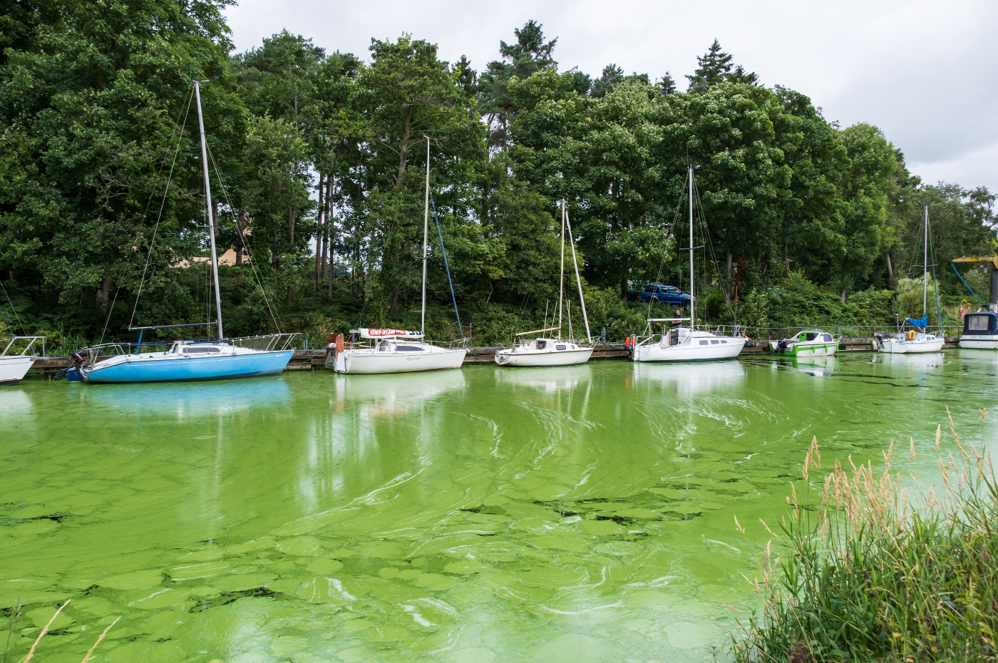 John Blair, DAERA and the unanswered questions around Northern Ireland’s inland and marine waters