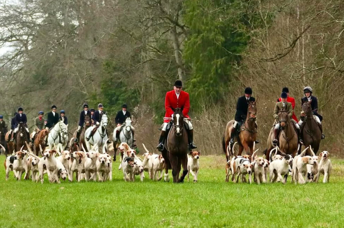 Tim Bonner: Numbers will count - why every voice in support of hunting matters